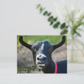 Funny Goat Meme lächelnd Big Postcard Postkarte (Stehend Vorderseite)