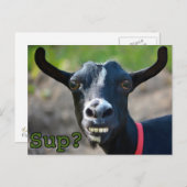 Funny Goat Meme lächelnd Big Postcard Postkarte (Vorne/Hinten)