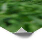 Funny Goat Parody, Niedliches Ziegenkid Poster (Ecke)