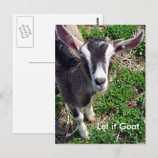 Funny Goat Parody Postkarte (Vorne/Hinten)
