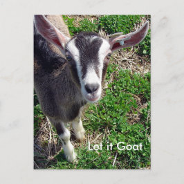Funny Goat Parody Postkarte