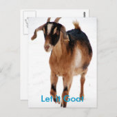 Funny Goat Parody Postkarte (Vorne/Hinten)