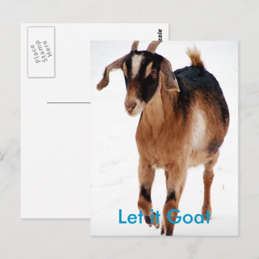 Funny Goat Parody Postkarte (Vorne/Hinten)