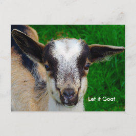 Funny Goat Parody Postkarte