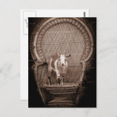 Funny Goat Postcard Postkarte (Vorne/Hinten)