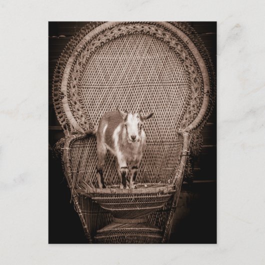 Funny Goat Postcard Postkarte (Vorderseite)