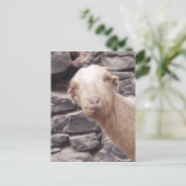Funny Goat Postkarte (Stehend Vorderseite)