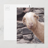 Funny Goat Postkarte (Vorne/Hinten)