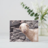 Funny Goat Postkarte (Stehend Vorderseite)