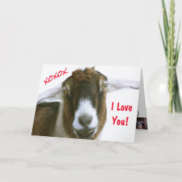 Funny Goat Valentine's Day Feiertagskarte
