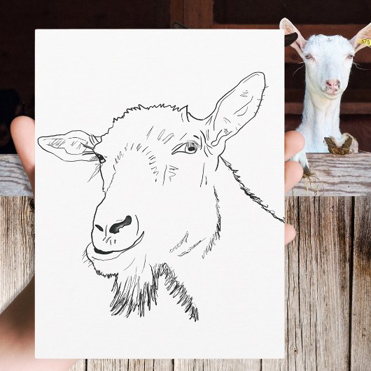 Funny Goat Zeichnend Postkarte