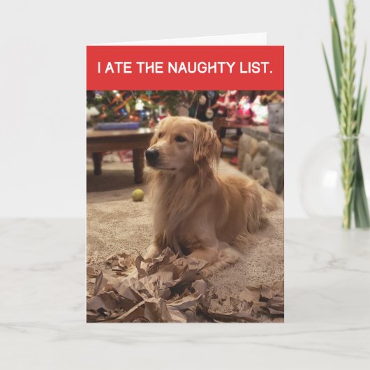 Funny Golden Retriever Ate Naughty List Weihnachte Karte (Vorderseite)