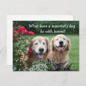 Funny Golden Retriever Barium Wissenschaftlicher W Postkarte (Vorne/Hinten)