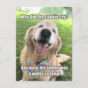 Funny Golden Retriever Cookie Joke Meme Postcard Postkarte