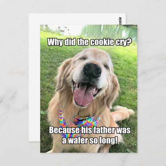 Funny Golden Retriever Cookie Joke Meme Postcard Postkarte (Vorne/Hinten)