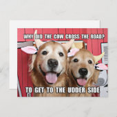 Funny Golden Retriever Cow Jow Postkarte (Vorne/Hinten)