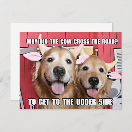 Funny Golden Retriever Cow Jow Postkarte (Vorne/Hinten)