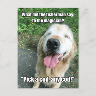 Funny Golden Retriever Fisherman Joke Meme Postkarte