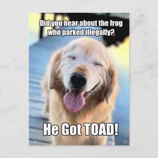 Funny Golden Retriever Frosch Joke Meme Postkarte (Vorderseite)