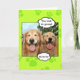 Funny Golden Retriever Golden Oldie Birthday Karte