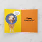 Funny Golden Retriever Halloween Kone der Scham Karte (Innenseite)