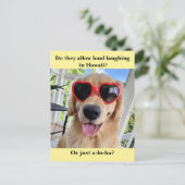 Funny Golden Retriever Hawaii Joke Meme Postkarte (Stehend Vorderseite)