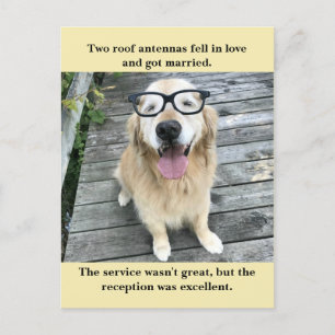 Funny Golden Retriever Hochzeitsempfang Joke Meme Ankündigungspostkarte