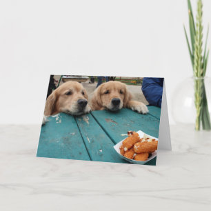 Funny Golden Retriever Hunde Geburtstagswünsche Karte
