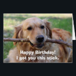 Funny Golden Retriever Hunde Humor Happy Birthday<br><div class="desc">Hunde Humor,  Geburtstagskarte mit einem albernen goldenen Retriever mit einem Stick,  mit lustigem Zitat "Happy Birthday! Ich habe dir diesen Stock got."</div>