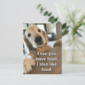 Funny Golden Retriever Ich sehe, du hast Essen Mem Postkarte (Stehend Vorderseite)