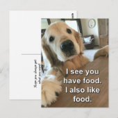 Funny Golden Retriever Ich sehe, du hast Essen Mem Postkarte (Vorne/Hinten)