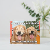 Funny Golden Retriever Joke Meme Postkarte (Stehend Vorderseite)