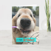 Funny Golden Retriever Leckerei Yo Self Birthday Karte (Vorderseite)
