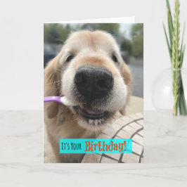 Funny Golden Retriever Leckerei Yo Self Birthday Karte