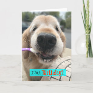 Funny Golden Retriever Leckerei Yo Self Birthday Karte
