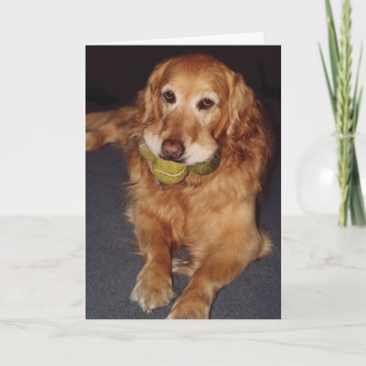 Funny Golden Retriever mit Balls Birthday Card Karte (Vorderseite)