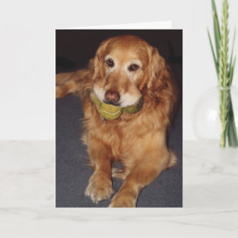 Funny Golden Retriever mit Balls Birthday Card Karte