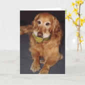 Funny Golden Retriever mit Balls Birthday Card Karte (Gelbe Blume)