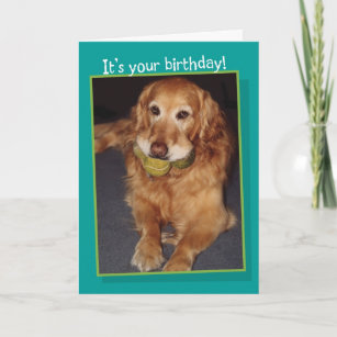 Funny Golden Retriever mit Balls Birthday Card Karte