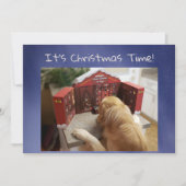 Funny Golden Retriever mit Leckereien Weihnachten (Vorderseite)