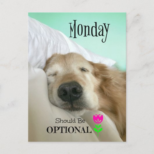 Funny Golden Retriever Montag sollte optional sein Postkarte (Vorderseite)