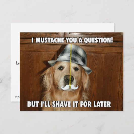 Funny Golden Retriever Mustache Sie eine Frage Postkarte (Vorne/Hinten)