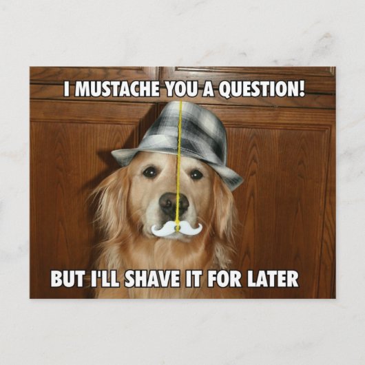 Funny Golden Retriever Mustache Sie eine Frage Postkarte (Vorderseite)