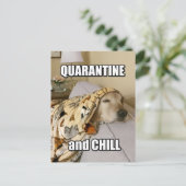 Funny Golden Retriever Quarantäne und Chill Joke Postkarte (Stehend Vorderseite)