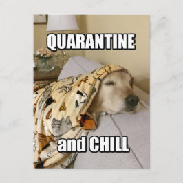 Funny Golden Retriever Quarantäne und Chill Joke Postkarte