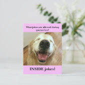 Funny Golden Retriever Quarantine Joke Meme Postkarte (Stehend Vorderseite)