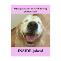 Funny Golden Retriever Quarantine Joke Meme