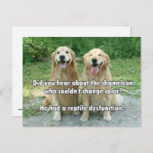 Funny Golden Retriever Reptile Dysfunktion Joke Postkarte (Vorne/Hinten)