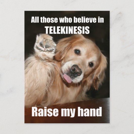 Funny Golden Retriever Telekinesis Joke Postcard Postkarte (Vorderseite)