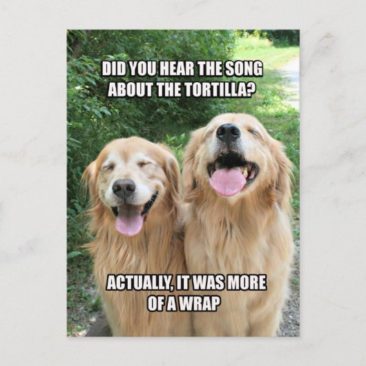 Funny Golden Retriever Tortilla Joke Meme Postkarte (Vorderseite)